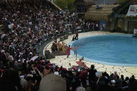 Photo, Image & Picture of Dalian Tiger Beach Ocean Park Sea Lion Show