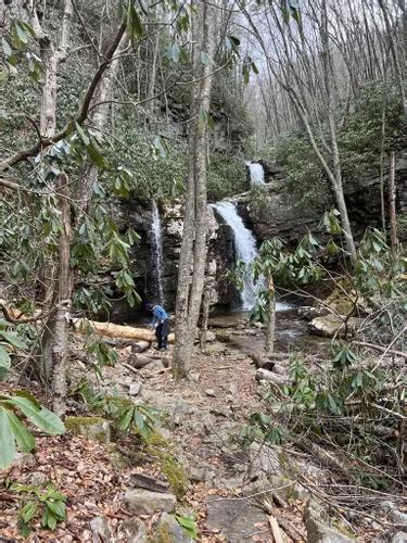 Best Forest Trails In Laurel Bloomery AllTrails