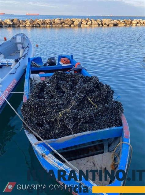 Guardia Costiera Di Taranto Sequestro Di Cozze