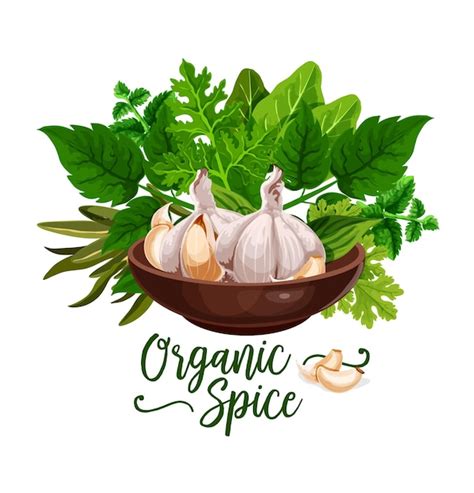 Premium Vector Organic Spices And Cooking Herb Ingredient Poster