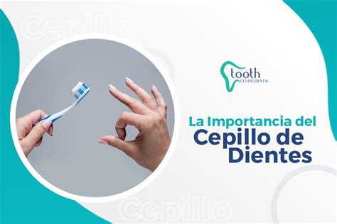 Descubrir Pionero estaño la importancia del cepillado dental futuro