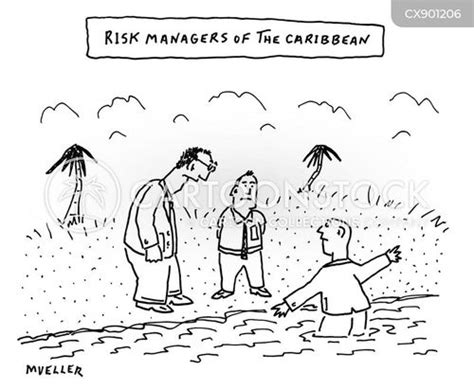 Risk Assessment Cartoon