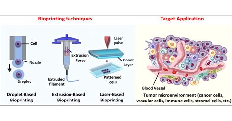 D Bioprinting Of Tumor Models For Cancer Research Acs Applied Bio