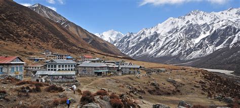 Langtang valley trek in Nepal, Langtang valley teahouse trekking | Plan ...