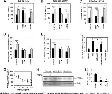 Figure 4 From Peroxisome Proliferator Activated Receptor α Positively