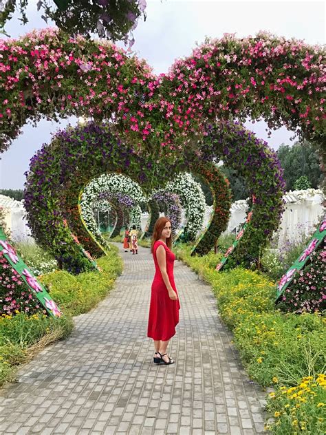 Dubai Miracle Garden Must Visit Place In Dubai