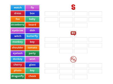 Mod 2 Nouns Groups Plurals S Es Ies Spotlight Group Sort