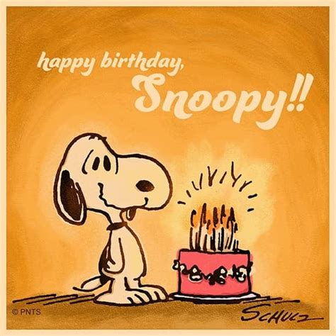 スヌーピーさんのインスタグラム写真 スヌーピーinstagram 「happy Birthday Snoopy Happybirthdaysnoopy」8月10日 23時04分