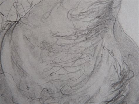 Original Tonal Pencil Drawing Illustration Of A Nude Male Phallus A Penis Picclick Uk