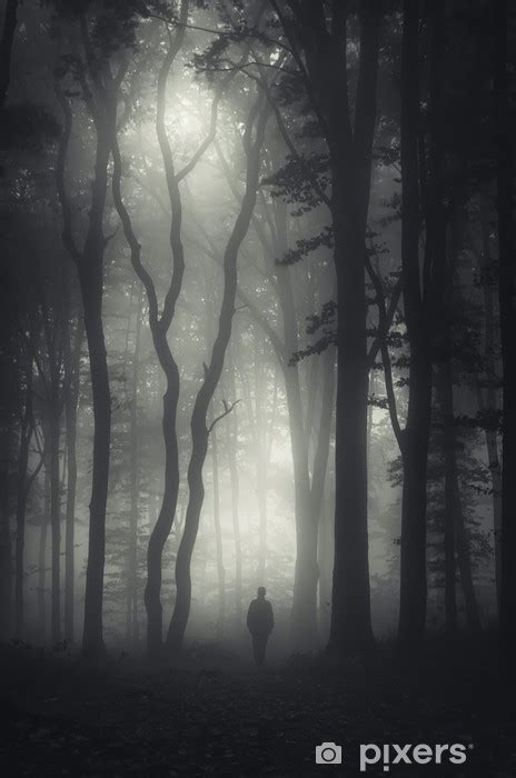 Fotomural Hombre Caminando En El Bosque Oscuro Misterioso Pixers Es