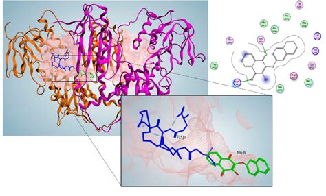 Putative Complex TR TS 2 Nq H Notes Top Trypanothione Reductase Draw