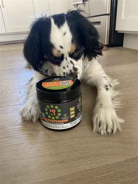 Googipet Multivitamínico 10 en 1 para perros masticable con probióticos