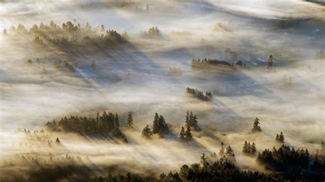 Bing HD Wallpaper Feb 24 2024 Un Raggio Di Sole Nella Nebbia Bing