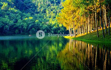 pang ung lake  mountains thailand royalty  stock image