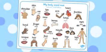 Free My Body Word Mat Arabic Translation Teacher Made