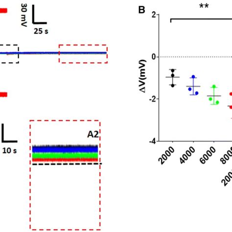 Membrane potential hyperpolarization induced by SM with pulse numbers ...