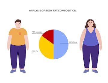 Body Composition Illustrations Royalty Free Vector Clip Art