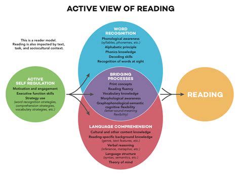 Ways To Put The Science Of Reading Into Practice With The Active View