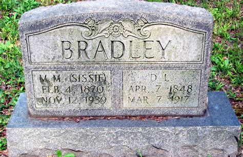 David Lafayette Bradley 1848 1917 Find A Grave Memorial