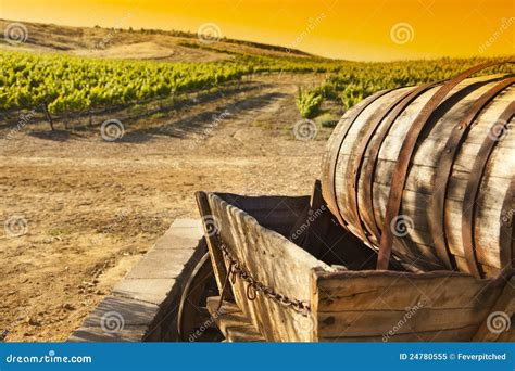 Grape Vineyard With Old Barrel Carriage Wagon Stock Image Image Of