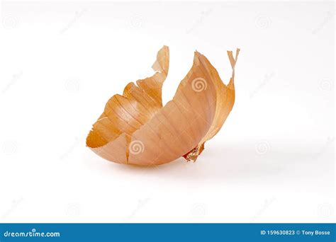 Onion Peel Isolated stock image. Image of organic, medicinal - 159630823