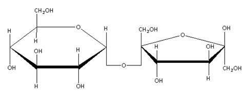 (a) Write the Haworth structure of the sucrose.(b) Sucrose is a non-reducing sugar. Why?