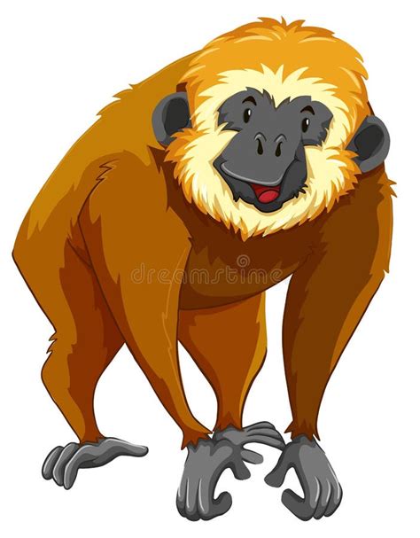 Happy Gibbon Stock Illustrations 599 Happy Gibbon Stock Illustrations