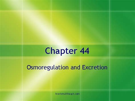 Chapter 44 Osmoregulation And Excretion Travismulthaupt Osmoregulation