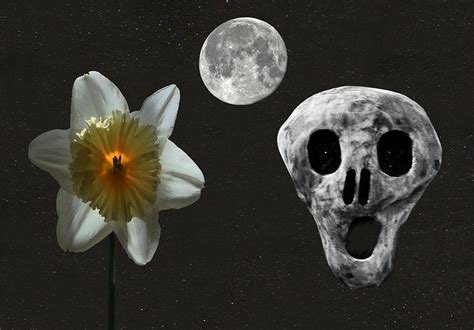 Death And The Daffodil Digital Art by Eric Kempson | Fine Art America