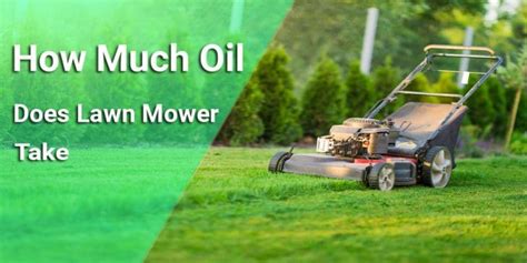 How Much Oil Does A Lawn Mower Take