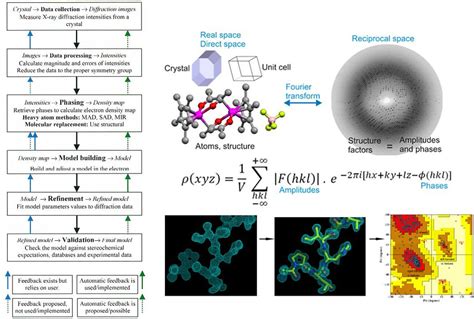 X-ray Crystallography Reveals Molecular Recognition, 46% OFF