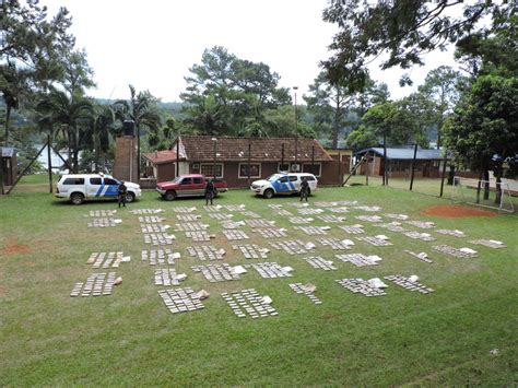 Prefectura secuestró más de dos toneladas de marihuana en Misiones