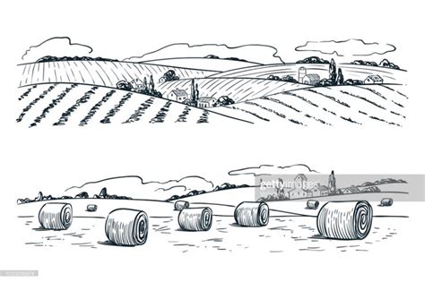 Farming Fields Landscape Vector Sketch Illustration Agriculture And