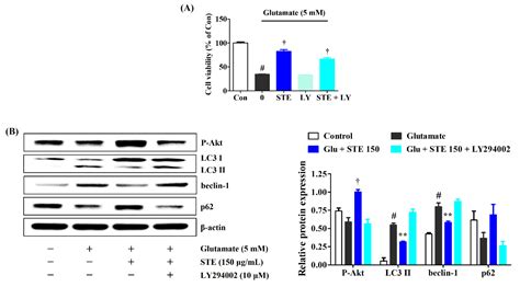 Ijms Free Full Text Selaginella Tamariscina Inhibits Glutamate