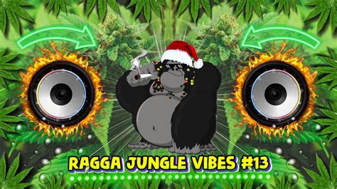 Ragga Jungle Drum Bass Vibes Reggae Dnb Mix Youtube