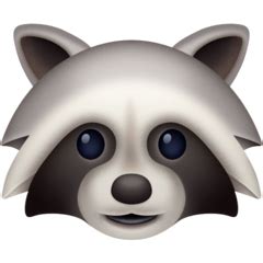 🦝 Raccoon Emoji