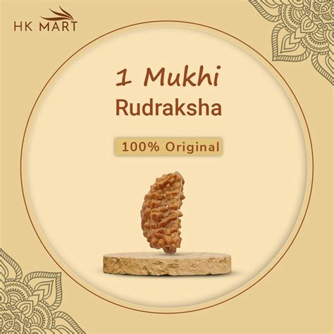 Ek Mukhi Rudraksha Original Ek Mukhi Rudraksha Benefits And Price