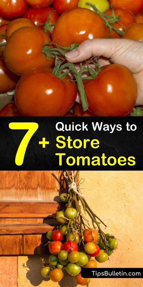 7 Quick Ways To Store Tomatoes