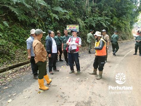 Perhutani Perhutani Dan Dinas Bina Marga Lakukan Peninjauan Ke Lokasi