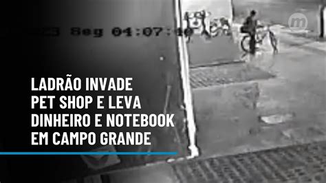 V Deo Ladr O Invade Pet Shop E Leva Dinheiro E Notebook Em Campo Grande