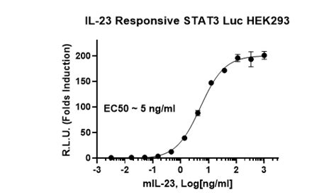 Il Responsive Stat Luciferase Reporter Hek Cell Line