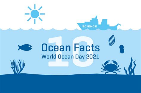 Facts About The Ocean