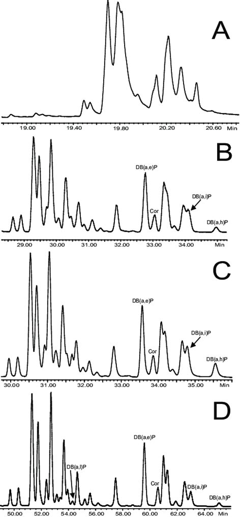 Gc Ms Extracted Ion Chromatograms Obtained In Sim Mode Extracted Ion Download Scientific