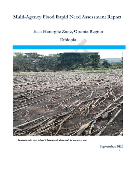 Damage To Maize Crops By Flood In Deder Woreda Photo Credit The