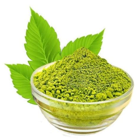 Neem Powder Azadirachta Indica Organic Pure Neem Leaf Etsy