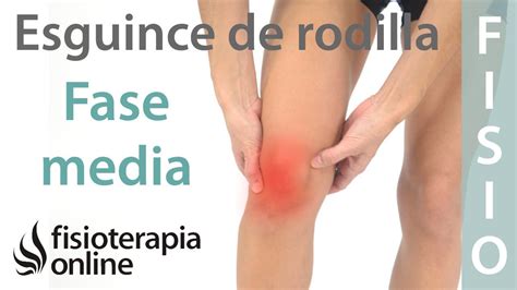 Tratamiento Del Esguince De Ligamento Lateral Externo De Rodilla Fase