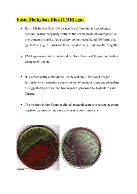 Eosin Methylene Blue Agar Eosin Methylene Blue Emb Agar Eosin