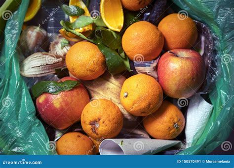 Food Waste Problem Leftovers Thrown Into Into The Trash Can Spoiled