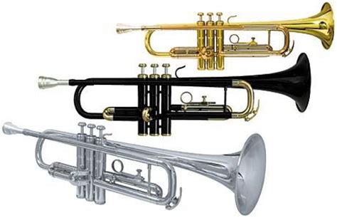 What Different Types Of Trumpets Are There