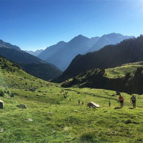 running   trail race  tips   great race trail kale